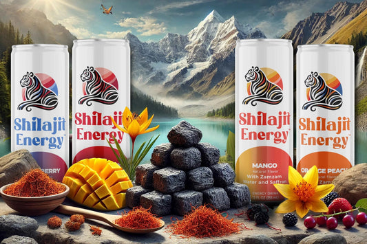 Shilajit Energy Drink – Orange Flavor, 12 oz (12 Pack) – Natural Energy & Wellness Boost